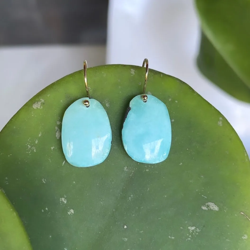 Almost ovals turquoise earrings