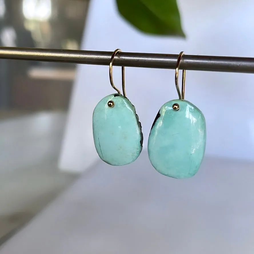 Almost ovals turquoise earrings