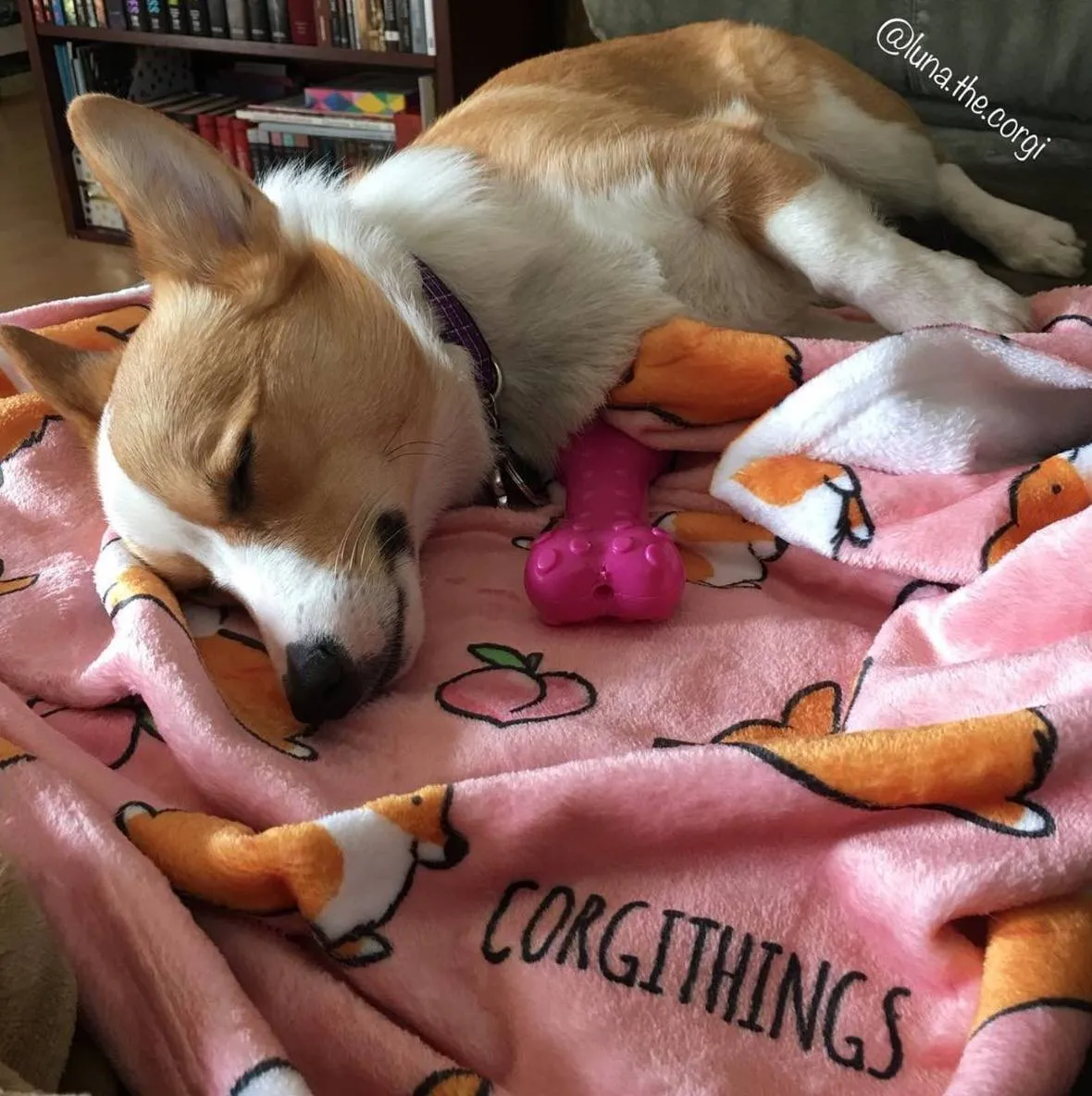 Pink Corgi Sploot Fleece Blanket | 3 Sizes